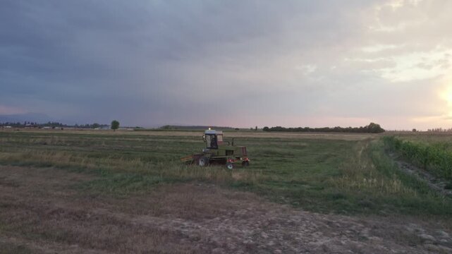Tractor with hay tedder collects straw in rows in harvested wheat field for packs it into bales. Work in agronomic farm for making business and production organic eco bio animal feed