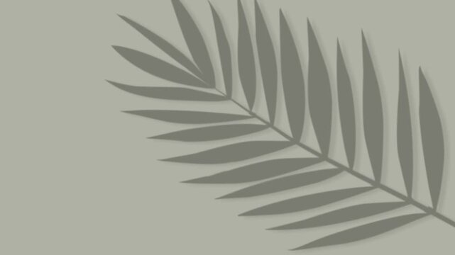 Leaf swaying with slight wind for overlay on light background 