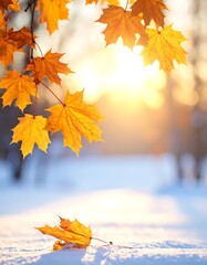 Golden maple leaves against snowy ground and bright sunlight