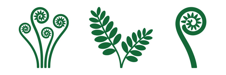 Fiddlehead fern icons, curled frond shapes, edible wild greens, spring harvest symbols, botanical illustration set, natural food vector © RA Studio