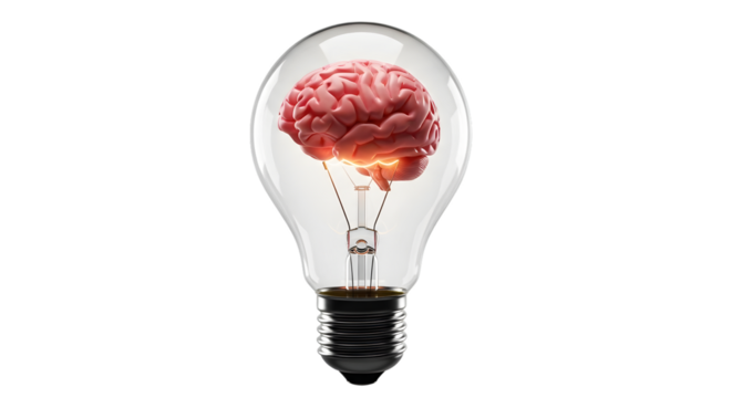 Human brain inside a clear light bulb representing ideas and intelligence isolated on transparent background