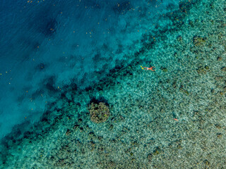 Aerial view of a vibrant blue lagoon surrounded by coral reefs and dense coastal jungle in Raja Ampat, Indonesia.
