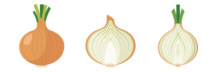 Single onion icons, full bulb, sliced half view, delicate ring layers, home cooking element, vegetable design vector set