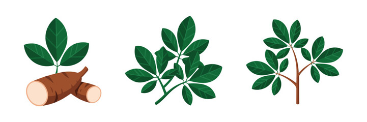 Moringa leaves sprigs, herbal branch cut pieces, medicinal plant illustration, organic wellness ingredient icons, green botanical vector © RA Studio