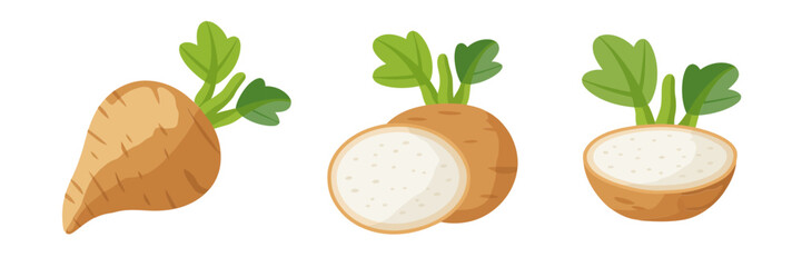 Root vegetables collection, whole and sliced, earthy tubers illustration, farm fresh ingredients, healthy cooking concept, kitchen vector artwork