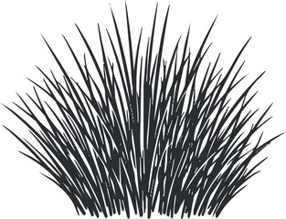 Obraz premium A detailed illustration of tall grass showcasing the beauty of nature and greenery.