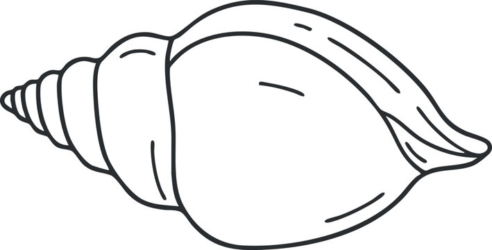 A simple line drawing of a seashell with a smooth and elegant design.