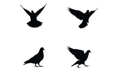 Obraz premium A collection of vector silhouettes of flying birds, including a dove and an eagle, showing their wings in flight against the nature background