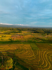 Fototapeta premium Beautiful morning view indonesia Panorama Landscape paddy fields with beauty color and sky natural light