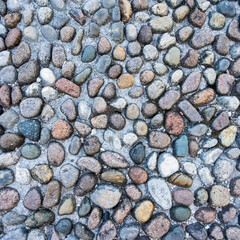 surface of colorful, rounded river stones or pebbles embedded in a grey cement or concrete matrix, creating a mosaic-like pavement