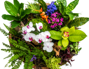Isolated image of various ornamental plants grown in pots for beauty on a png file wi q 