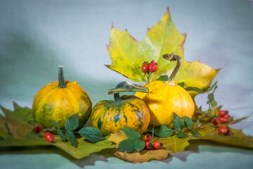 The splendor and vibrant autumn colors, pumpkin, rusty leaves and red rose hips