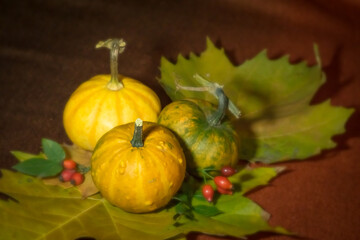 The splendor and vibrant autumn colors, pumpkin, rusty leaves and red rose hips
