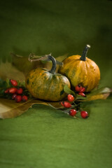 The splendor and vibrant autumn colors, pumpkin, rusty leaves and red rose hips