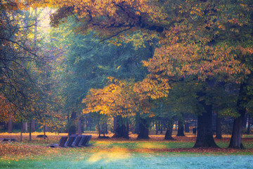 Golden Autumn Morning in the Park, Poland