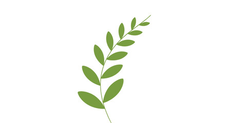 Fototapeta premium Illustration of a leafy stem, with small leaves alternating up the stem, against a white background.