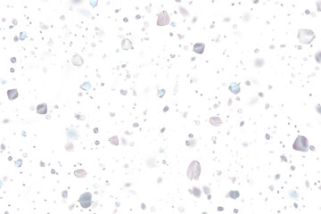 Abundant Blue and White Petal Confetti on Transparent PNG, White Background, Ideal for Digital Art, Invitations, Scrapbooking, and Creative Projects Requiring a Playful, Light, Minimalist Floral Overl