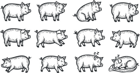 Fototapeta premium A collection of cute cartoon pigs in various poses and expressions, ideal for farm-themed designs.