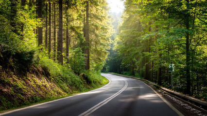 Obraz premium Straight forest road surrounded by tall green trees, scenic nature path with sunlight and peaceful travel atmosphere.