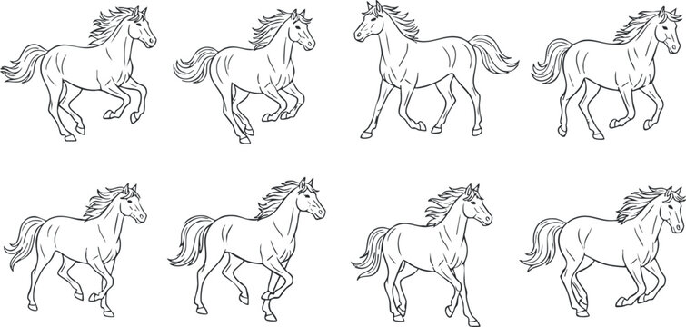 A series of line art sketches depicting horses in various dynamic poses and movements.