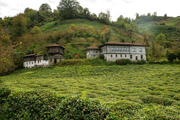 Historic Laz mansions in the Black Sea