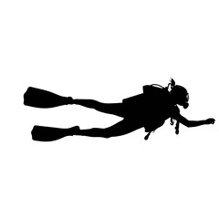 Silhouette of a single tree on a white background silhouette isolated on white background