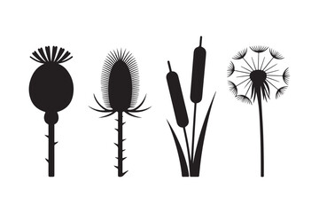 Silhouettes of four distinct wild plants on a white background