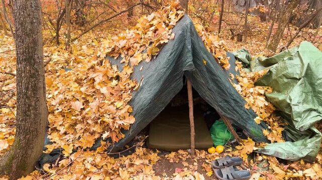 military camp in the forest. the simplest methods of camouflage are to cover the tent with tree leaves so that drones cannot see it from the air.