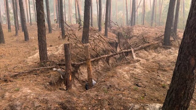 Abandoned military trenches and empty army fortifications in the forest in 2024. Consequences of war, tactical battlefield landscape, dugouts and traces of combat operations in Ukraine