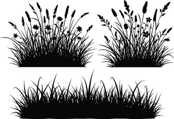 A silhouette collection of long grass