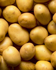 Raw yellow potatoes background