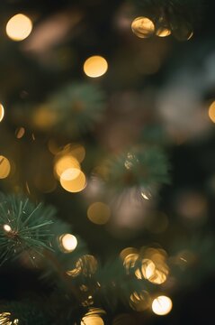 Christmas tree blurred lights background holiday season festive celebration bokeh effect design