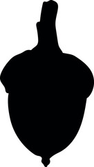 Black silhouette of acorn of red oak (Quercus rubra) on white background