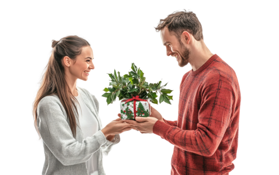 Romantic couple giving presents to each other under mistletoe during holiday season isolated on transparent background PNG