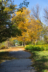 Naklejka premium Autumn Landscape of South Park in city of Sofia, Bulgaria