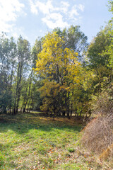 Fototapeta premium Autumn Landscape of South Park in city of Sofia, Bulgaria