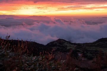 朝焼けの空と燃えるような雲海