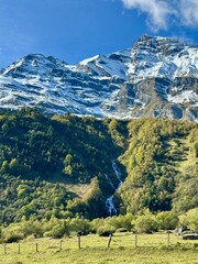 Fototapeta premium Idyllischer Naturerlebnisweg Käfertal