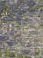 the ancient wall of a medieval castle,  old stone