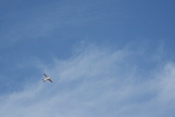 An airplane that flies in the blue sky
