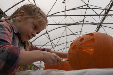 Young girl with blonde hair carefully carving a pumpkin in a greenhouse, showcasing creativity and skill in seasonal festivities with vibrant orange colors