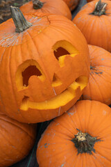 Bright orange pumpkins with carved smiling faces are stacked together, showcasing festive autumn decorations and seasonal charm in a vibrant outdoor setting