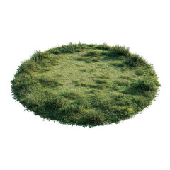 A lush oval-shaped island of wild green grass and overgrown shrubs isolated against a  perfect for nature-themed design elements, isolated on transparent background, perfect cutout, PNG