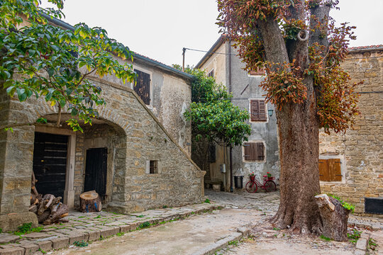 Fototapeta Picture from the town of Groznjan with idyllic cobbled streets and buildings made of natural stone, Istria, Croatia