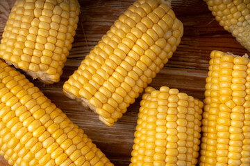 Sweet corn ears closeup. Fresh maize cob macro texture, autumn sweetcorn, corncob close up