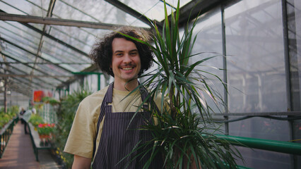 Gardener holds a green plant in a bright greenhouse filled with lush flora on a sunny day