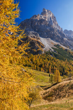 Scenic autumn alpine landscape of Pale di San Martino Group, Dolomites, Italy, Europe	