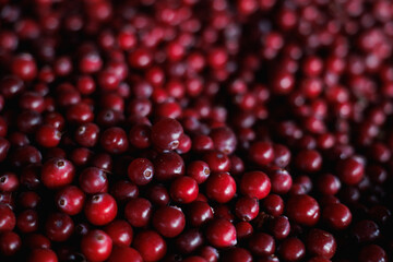 bright red cranberries closeup shot, glossy crimson berries displayed for branding and culinary