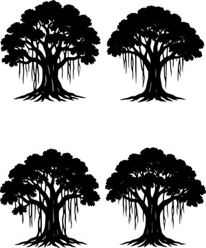 Vector illustration, silhouette of 4 banyan trees