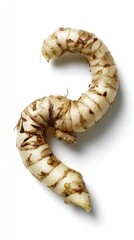 Spiral Ginger Root On White Background